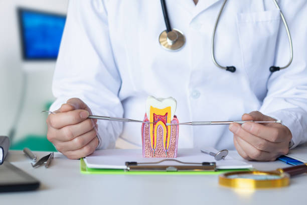 Best Urgent Dental Care for Toothaches in Red Chute, LA